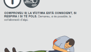 1. Comprovar si la víctima està conscient, si respira i si té pols. Demanar, si és possible, la col·laboració d'algú.